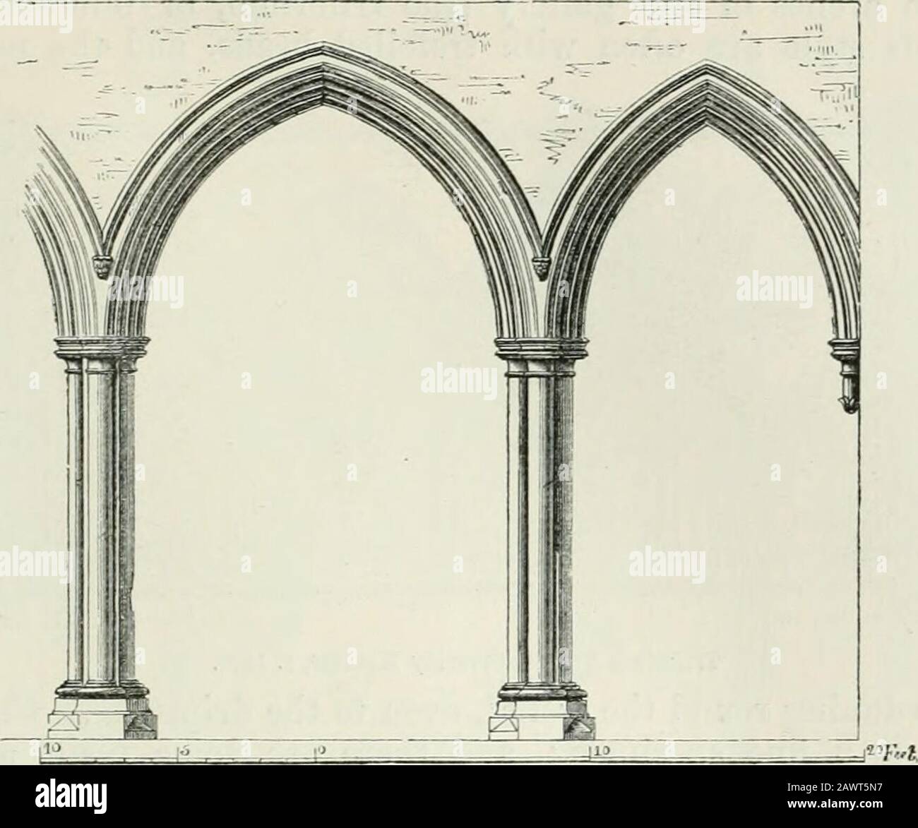 An attempt to discriminate the styles of architecture in England, from the conquest to the reformation : with a sketch of the Grecian and Roman orders . ter, some of one-third drop, and perhapseven more, and sometimes pointed segmental. At Canterburj, in the choir, are some curious pointed horse-shoe arches ; but these are not common. The architraves of the large arches of rich buildings arenow beautifully moulded, like the doors, with deep hollowmouldings, often enriched with the toothed ornaments Ofthis description, York transepts, and the nave and transeptsof Lincoln, are beautiful specimen Stock Photo