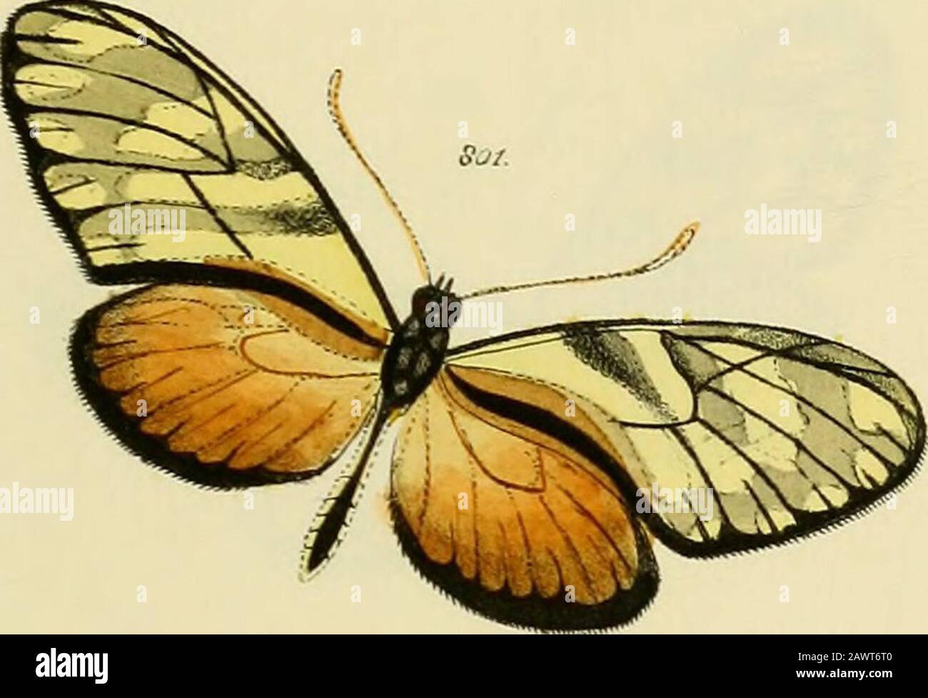 Cy7 High Resolution Stock Photography And Images Alamy