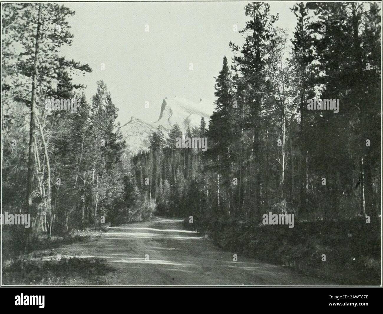 Sessional papers of the Dominion of Canada 1914 . Arch Erected for Visit of Their Royal Highnesses the Duke and Duchess of Connaught and Princess l;.tricia, to Banff, 1912.. Cave Avenue, Banff. Mt. Kundle in distance. 25— 1!H4—v--7. BK$ -; -* ?. ^i * / ? M**Sfi it&t . • WiE^LM* ? - VKhkMu *M^I^ ^^i 1^ Winter in the Rocky Mountains Park. Snow Mushrooms. Stock Photo