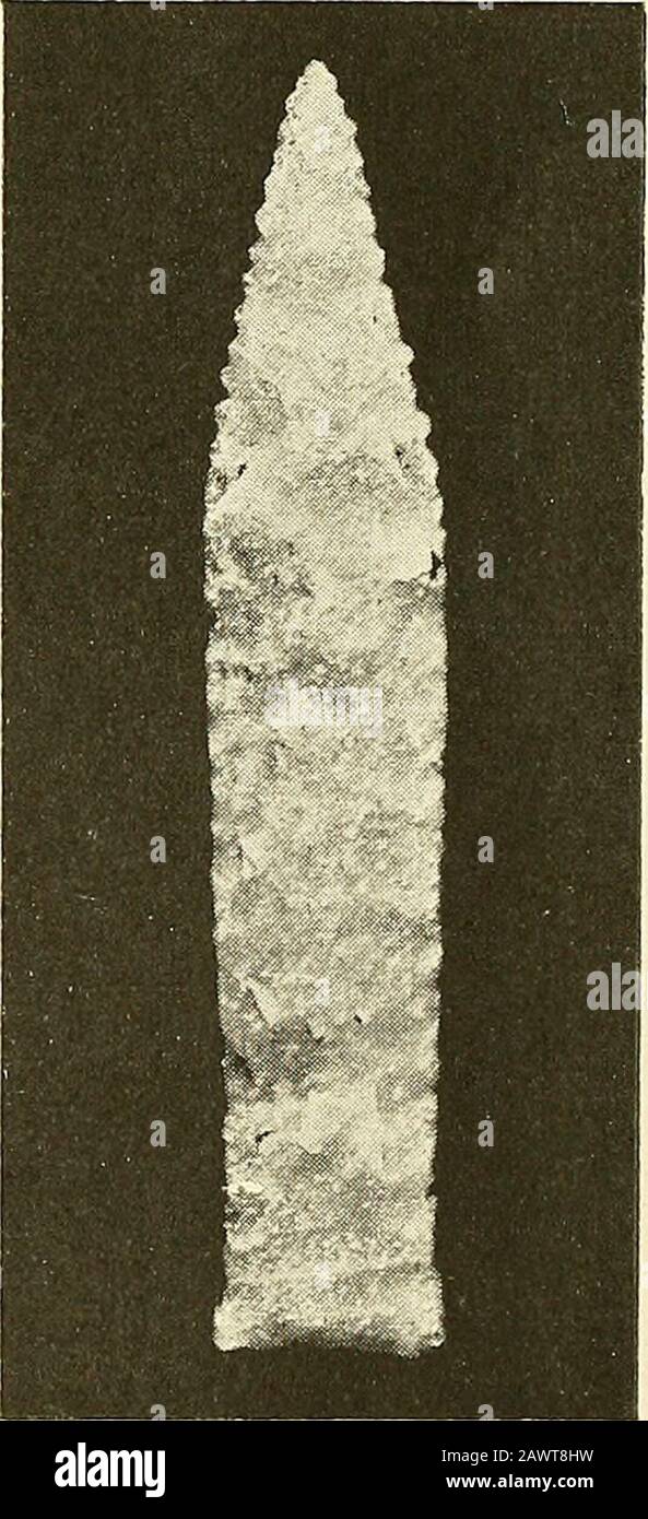 Skrifter - Det Kongelige Norske Videnskabers Selskab . g. 18). Stykket kan i sine konturlinjer nærmest sammenstillesmed skiferspidsen fra Solsemhulen paaLeka («01dtiden»s Ryghfestskrift 1914, s.34, fig. 8). Største bredde, 1.3 cm., liggerdog noget ovenfor midten, nærmere odden.Det bakerste parti er litt utsvunget nedadtil,og den fra begge sider eggformet tilhugnebasis noget indbuet. Fra odden er begge egg-kanter fint landet i en længde av ca. 2.5cm. Stykkets længde er 7.4 cm. Pilespid-sen er særdeles omhyggelig tildannet, ogrepræsenterer i det hele et udmerket ar-beide. F. i en torvmyr paa gaa Stock Photo