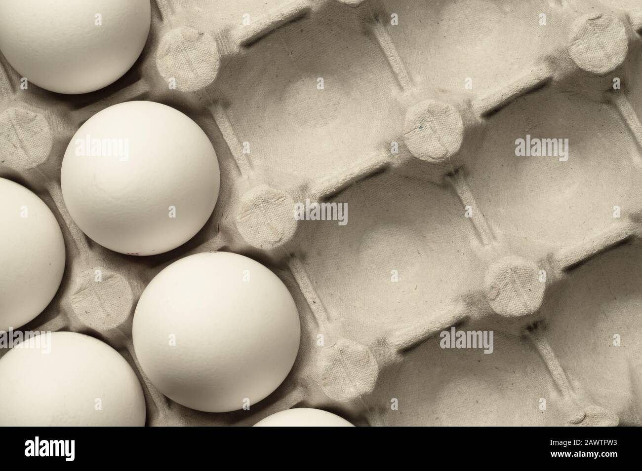 White eggs in carton box background. food ingredient. protein nutrition