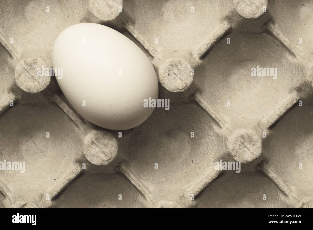 White egg in carton box background. food ingredient. protein nutrition. healthy breakfast. poultry egg Stock Photo