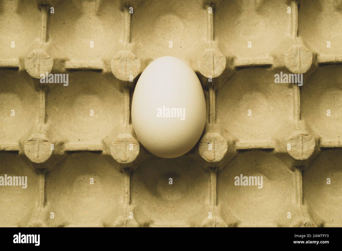 White eggs in carton box background. food ingredient. protein nutrition. healthy breakfast. poultry egg Stock Photo