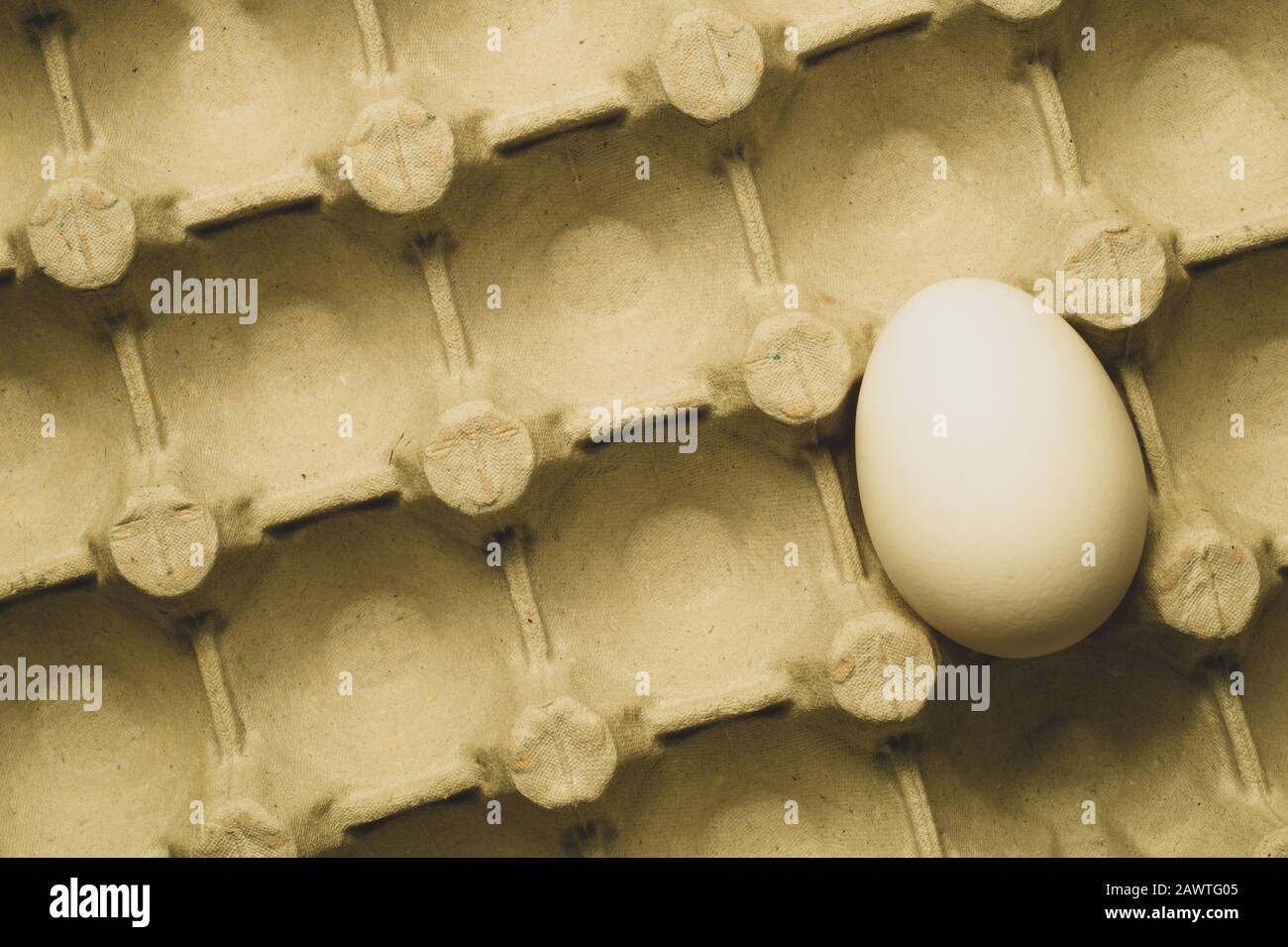 Egg in carton box background. food ingredient. protein nutrition