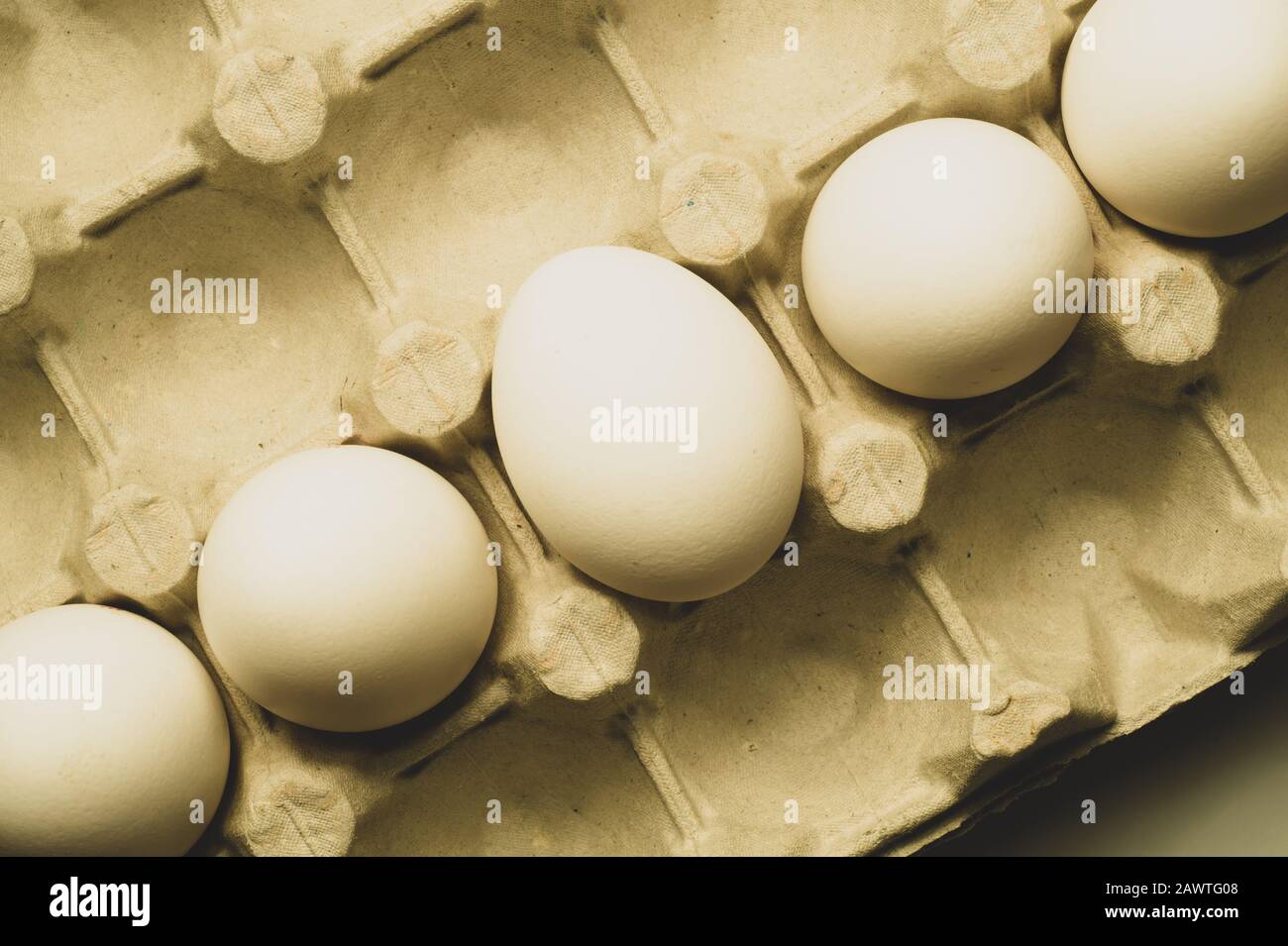 White eggs in carton box background. food ingredient. protein nutrition