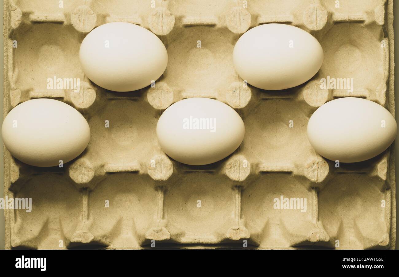 White eggs in carton box background. food ingredient. protein nutrition. healthy breakfast. poultry egg Stock Photo