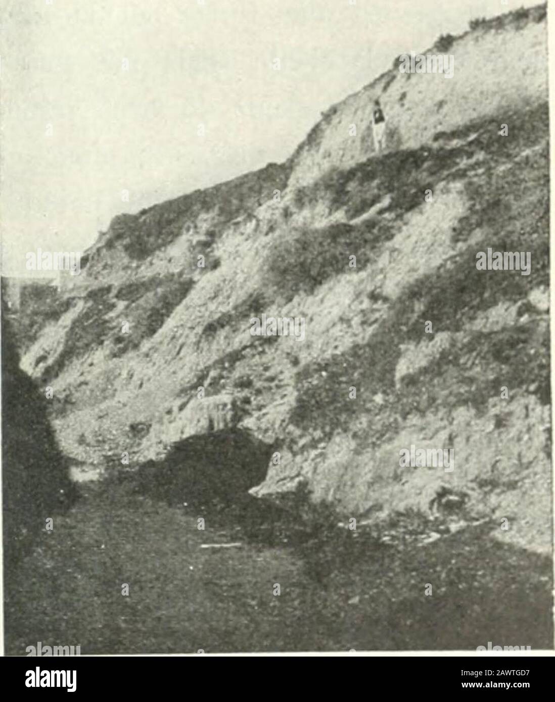 Petit de grat hires stock photography and images Alamy