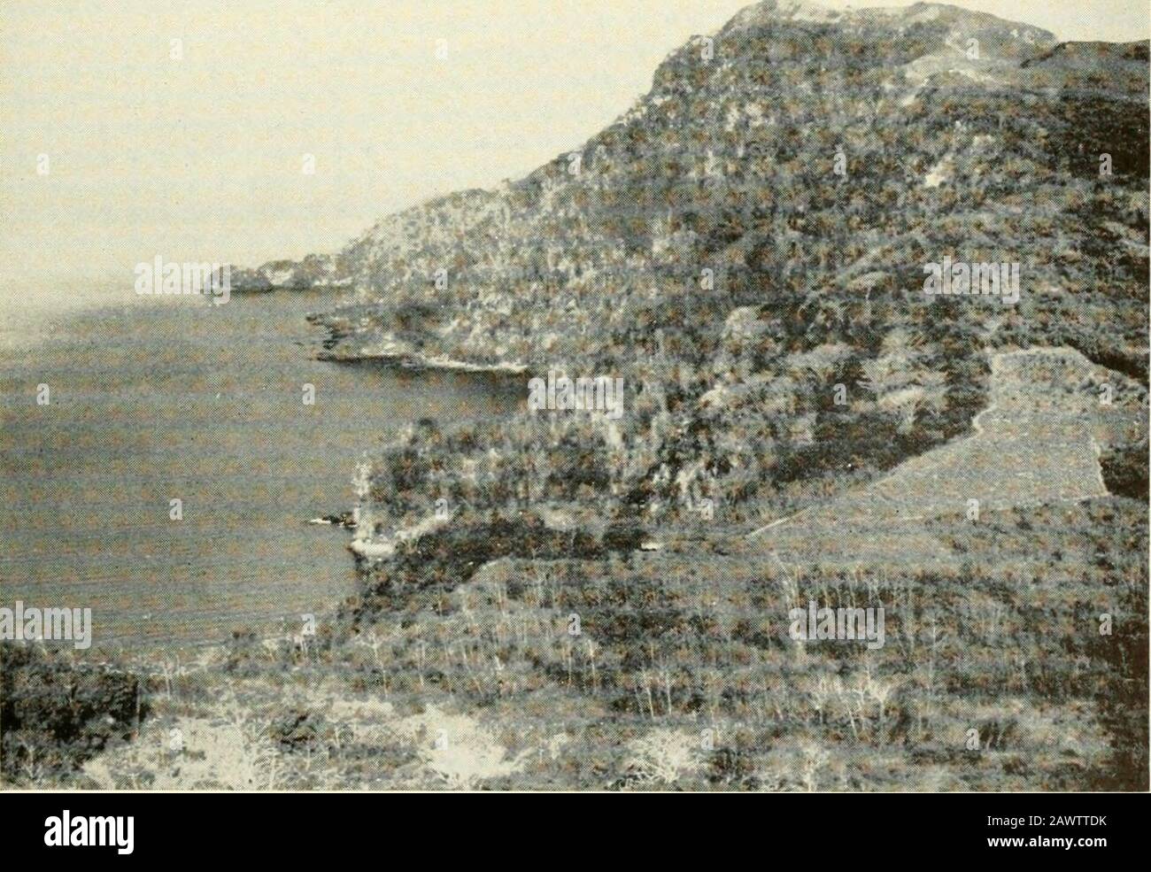 Smithsonian miscellaneous collections . 1. The: Village and Bay on Taboga Island, with the Islet El Morro AT THE Right March 17, 1952. 2. the Western Side of Taboga Island, Site of nesi ing ColoniesOF THE Brown Pelican Alarch 17, 1952 SMITHSONIAN MISCELLANEOUS COLLECTIONS VOL. 121, NO. 2, PL. 2 .amiS^- Stock Photo