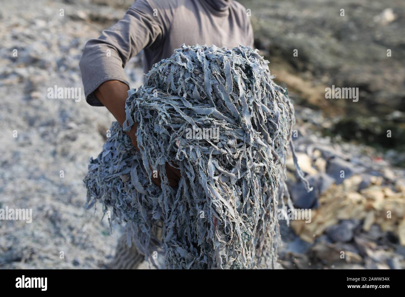 Proper waste management hires stock photography and images Alamy