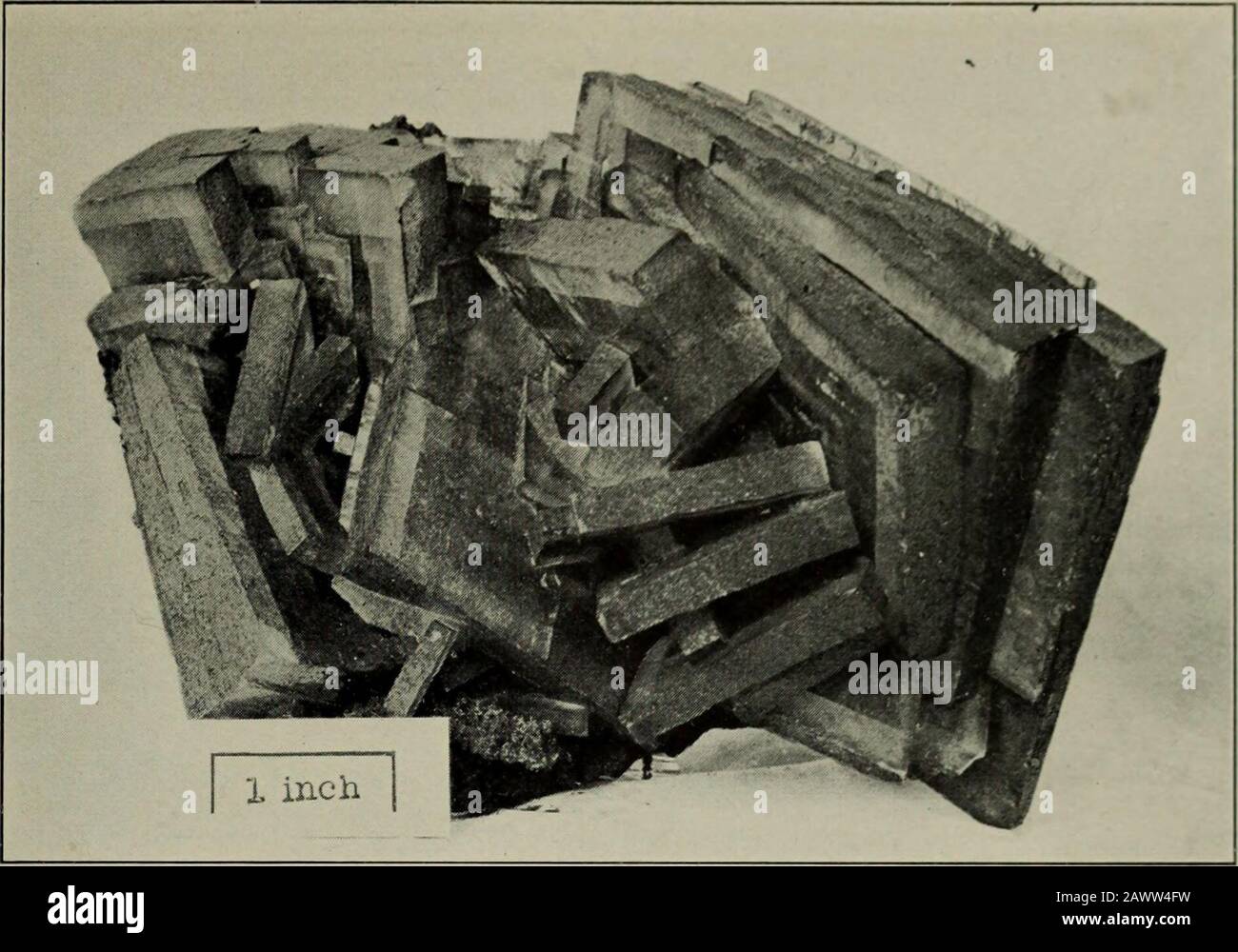 A popular guide to minerals : with chapters on the Bement Collection of ...