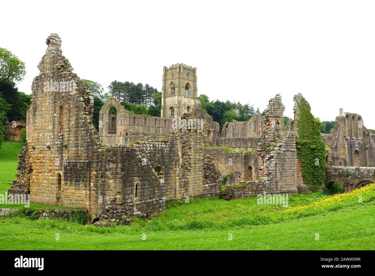 Fountains Abbey North Yorkshire, England Stock Photo Alamy