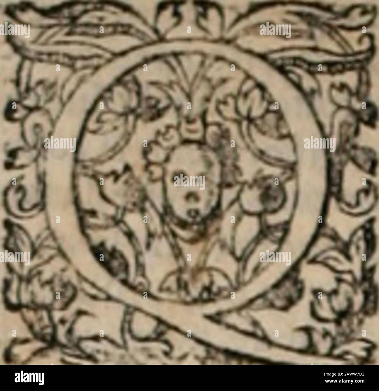 Di Ku Hi Res Stock Photography And Images Alamy Di Ku Hi Res Stock Photography And Images Alamy