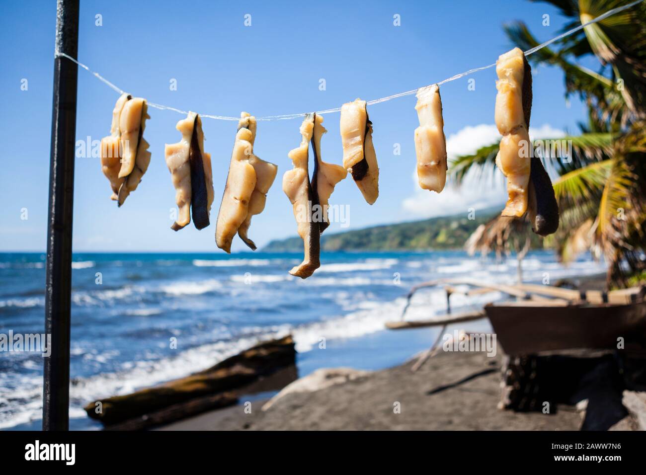 Fish dries on a line, Tahiti, French Polynesia Stock Photo