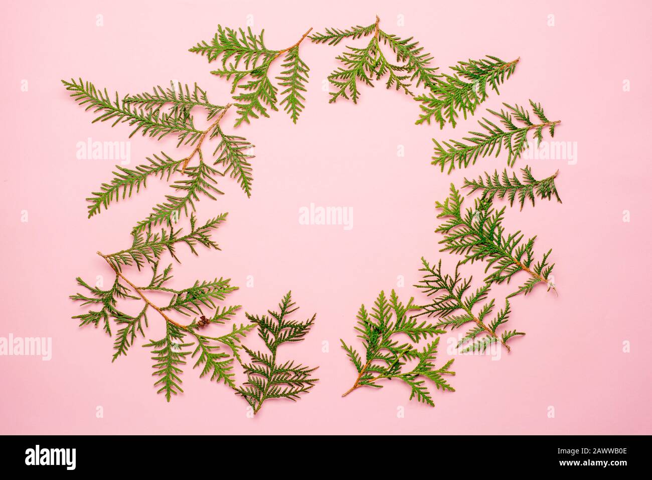 Christmas wreath with natural evegreen twigs. Flatlay. Copy space Stock Photo