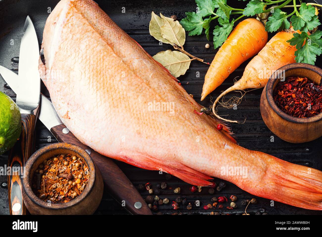 Whole raw fresh red perch or seabass. Stock Photo