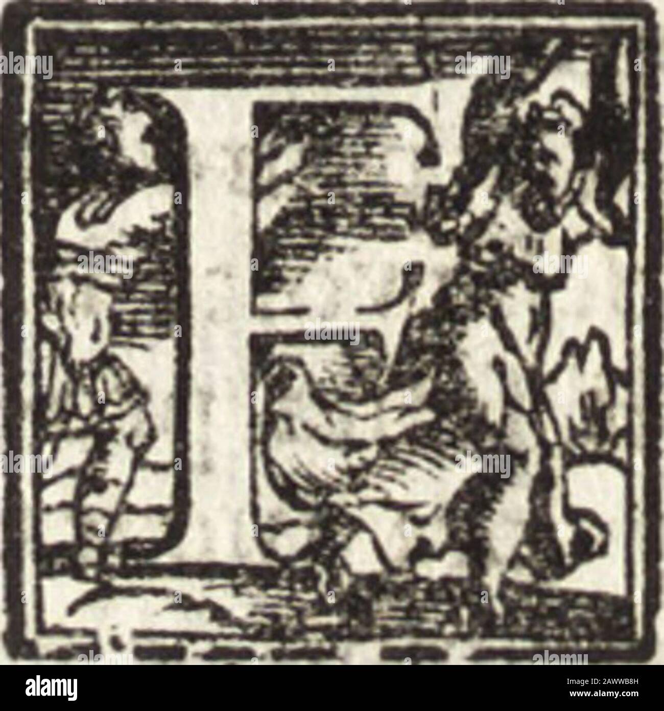 Luca de leida hires stock photography and images Alamy