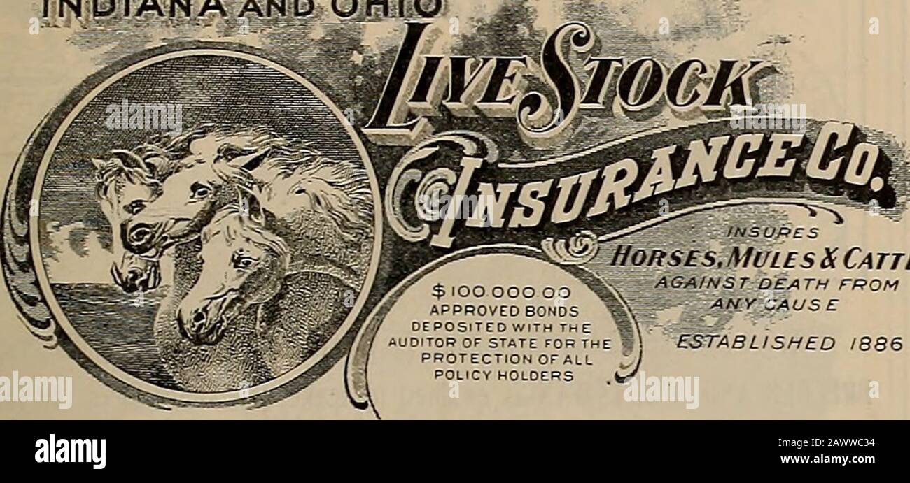 Breeder and sportsman . Insure Your Live Stock INDIANA AND. ^g Horses.MulesXCattle ,- AGAINST DEATH FROM%.: p-?-.-. ANY CAUS E ESTABLISHED 1886 Ctq+o AiTontc W. T. CLEVERDON, 350 Sansome St., San Francisco.Oldie Ageillo. j. ED VAN CAMP, Germain Bldg., Los Angales. LARGEST and OLDESTSTOCK COMPANY Assets $350,000. No Assessments. Responsible parties withgood business desiringagencies apply to State HEALDSBUSINESSCOLLEGE trains for Business and places its graduates in positions. Call or write 425 MoALLISTER ST., San Francisco. WM. F. EGAN.M.R.C.V.S. Veterinary Surgeon.1155 Golden Cats Av. Branch Stock Photo