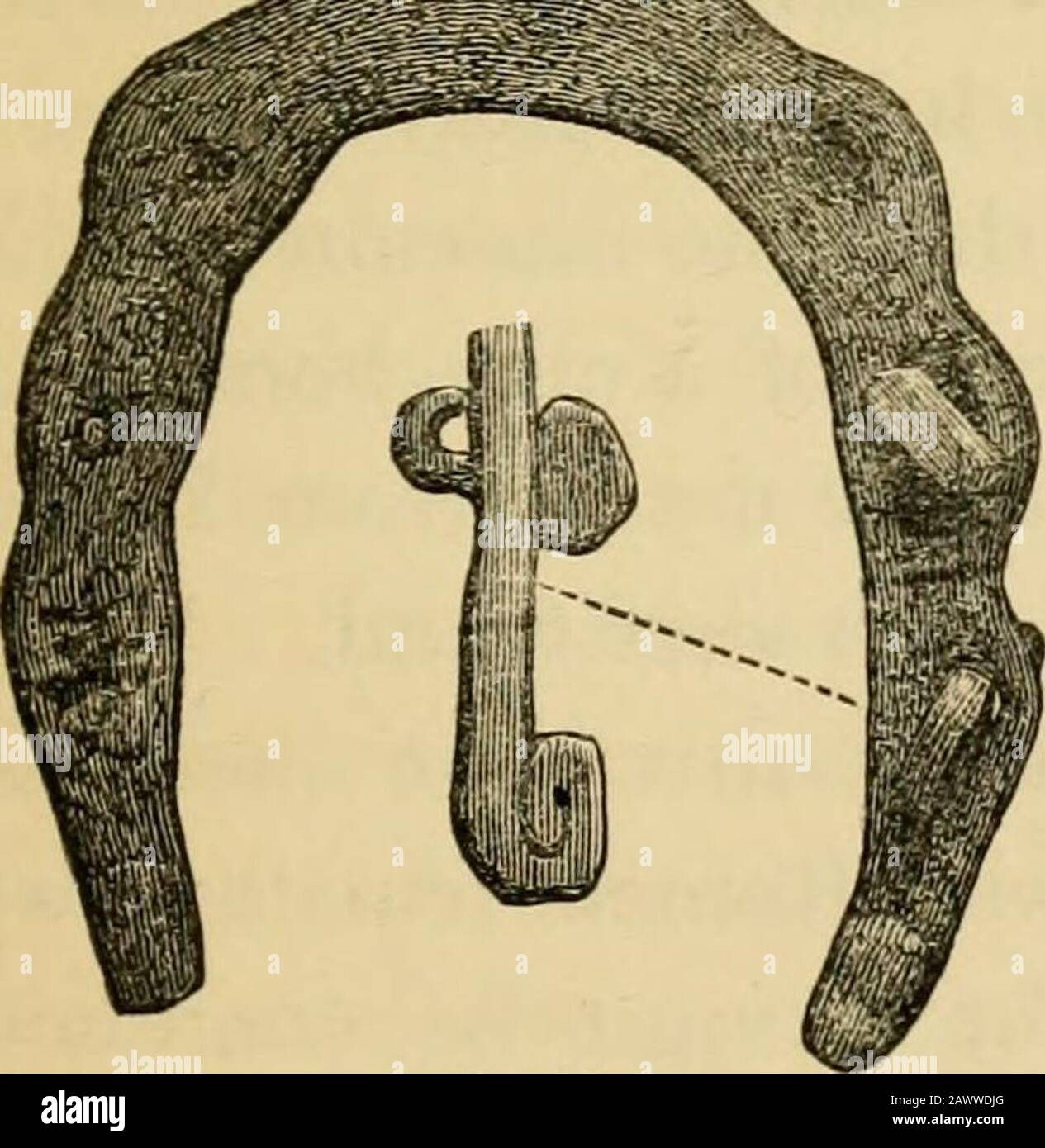 Horseshoes and horseshoeing their origin, history, uses, and abuses