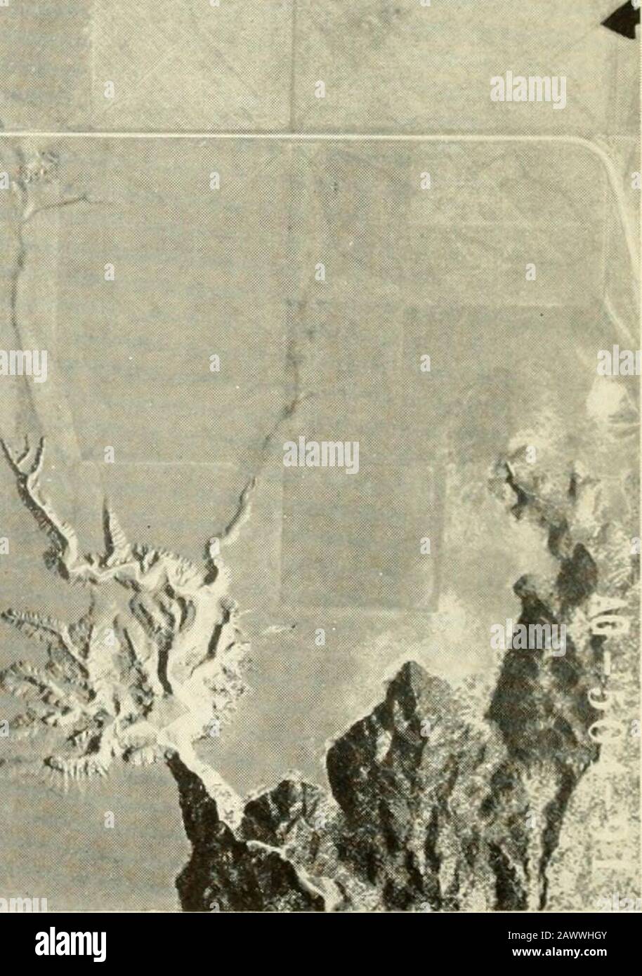 Smithsonian miscellaneous collections . AERIAL PHOTOGRAPH OF THE SAN JON SITE. NORTH TO RIGHT, (Soil Conservation Service photograph.) SMITHSONIAN MISCELLANEOUS COLLECTIONSVOLUME 121, NUMBER 1 GEOLOGY OF THE SAN JONSITE, EASTERN NEW MEXICO (With 5 Plates) BY SHELDON JUDSON University of Wisconsin Stock Photo