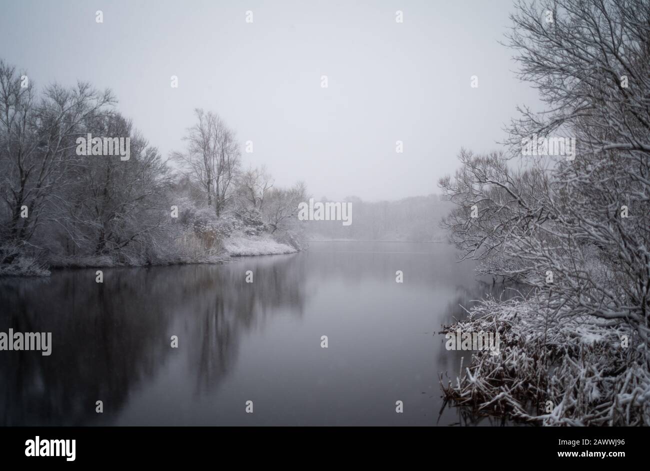 A Snowy Scene Of A Pond Surrounded By Trees Stock Photo