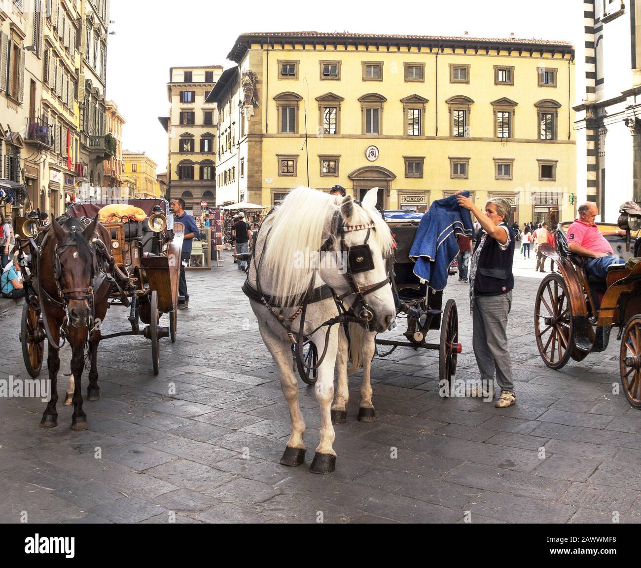 Italy.The city of Florence (Firenze).Horse drawn carts awaits the  tourists.Photo outside the Cathedral of Santa Maria del Fiore (the Duomo  Stock Photo - Alamy