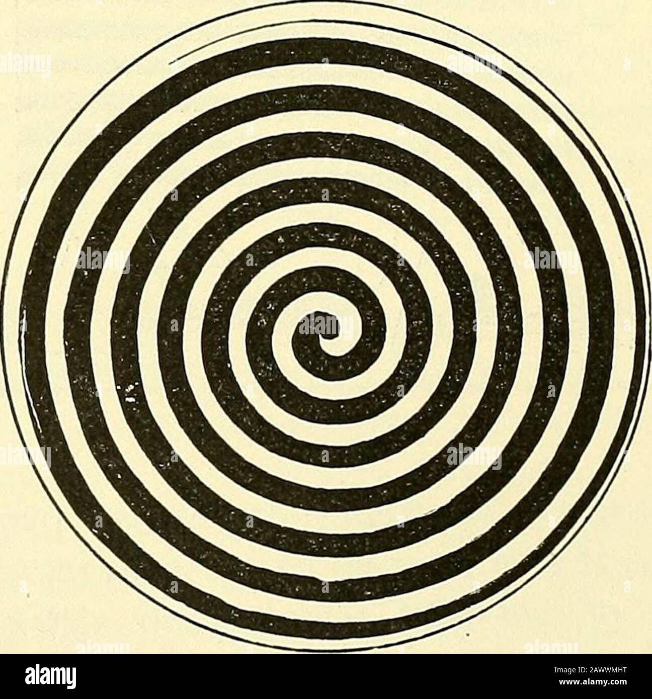 The Principles Of Psychology Oduces The Same Illusion Whichmay Be Easily Verified In The Laboratory By A Simple Pieceof Apparatus A Board With A Window Five Or Six Incheswide And Of