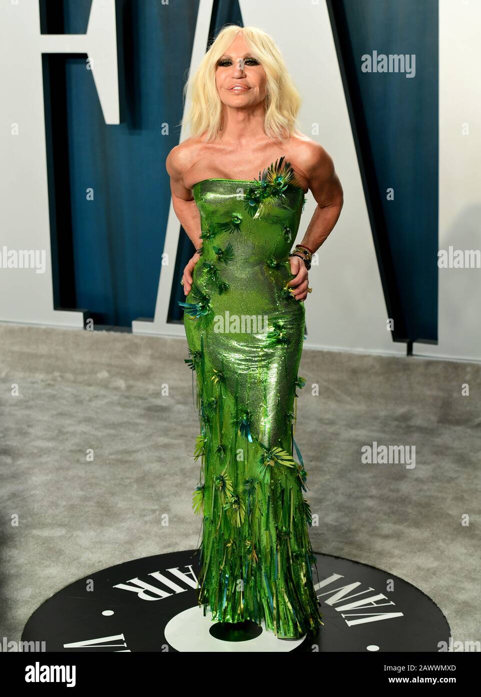 Donatella Versace attending the Vanity Fair Oscar Party held at the ...
