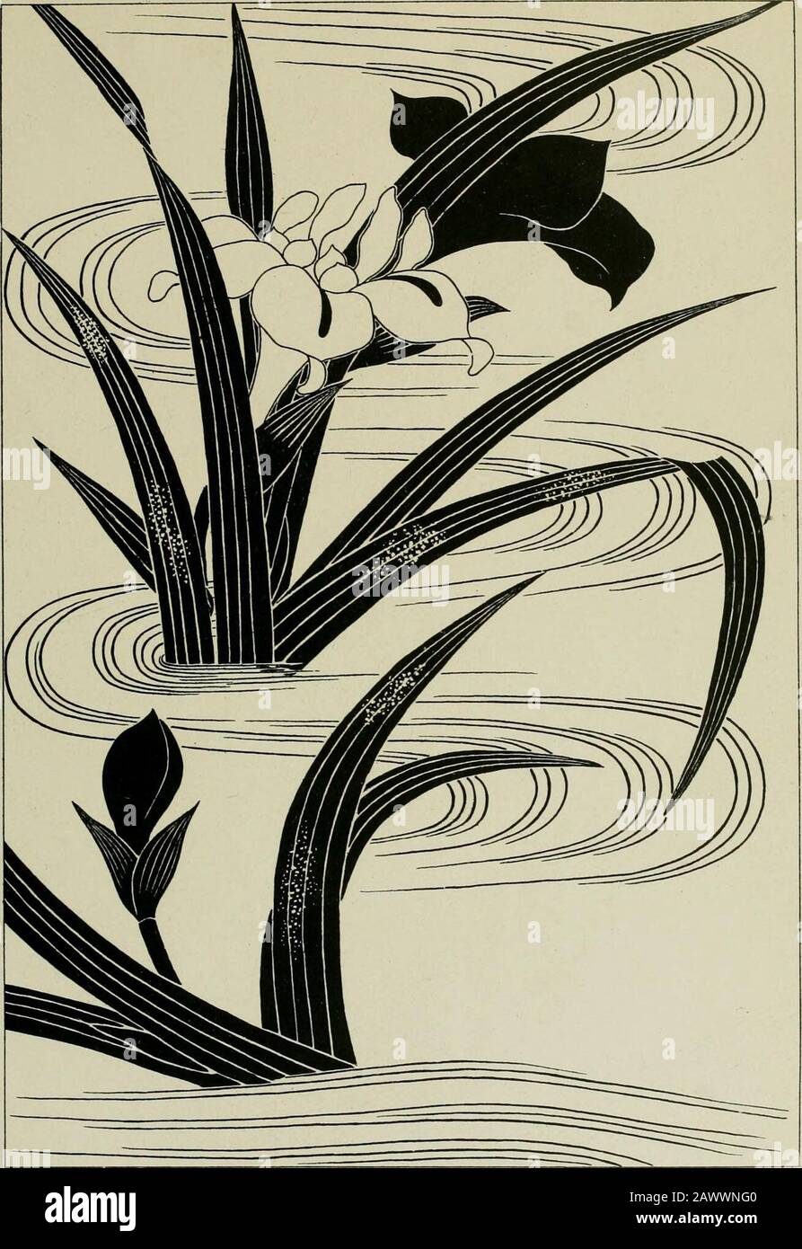 Studies in the decorative art of Japan . Plates 32 and 33. IRIS, GROWING IN A STREAM, CONVENTIONALISED. 0J3 HJ m ft x. sb* *fa *fei sfa *i&gt; X i! Si (1 m m 1 m H -p. ! * m 1 + + /4» SJyyjxyjyrfjS X — ?^ ^ ¥ -t y ji fl — + ep # PfJ $£? ^ A m *f ffiij ft ft m 0f # * a H B #* ** % £ « PP *? ;n 3r Jll 4 iii 3r Jll m p$ V n 0 «$ 1 us 1 t &gt;J 1$ ft JBi] # Nt 1 TM 1 Hf n | 01 A X at 1 St  m n i at  m r Th- if TtJ y rff T- t illT :/ aiT 4 111 T Vs i/ l -f 2 K m  ur 1 r ^•» %  •?»    + t? =* + 9 + y + •&gt; m — # § i X. # m 3 9 m /i* m 1 Jill 2&gt;4- ;t* !&gt; ] S •y / S V *fe » 1* it ^ y 5 Stock Photo