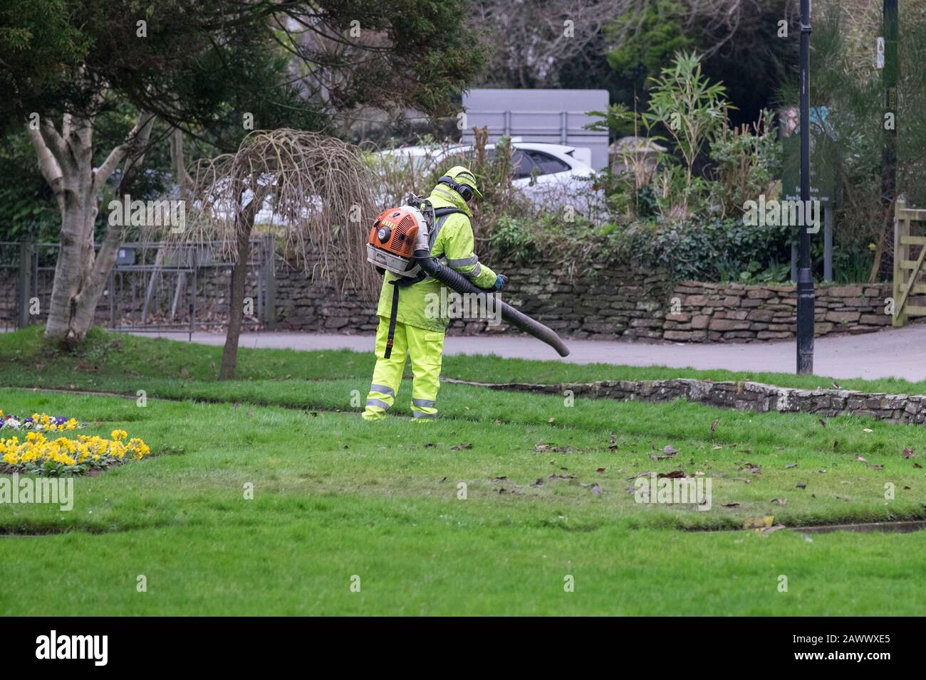 A garden maintenance worker wearing hi vis clothing using a Stihl air blower to blow away dead leaves in Trenance Gardens in Newquay in Cornwall. Stock Photo