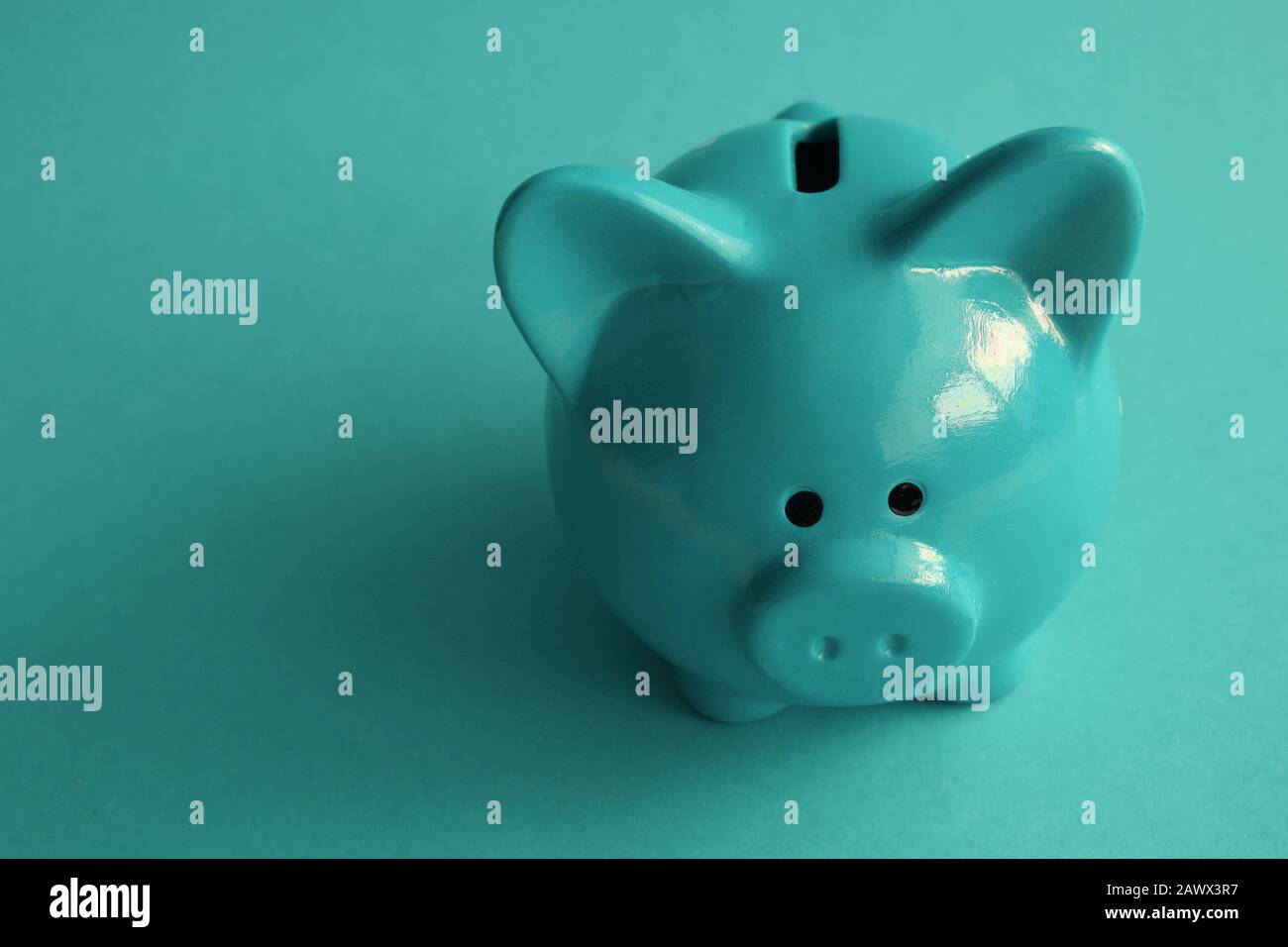 stylish piggy bank