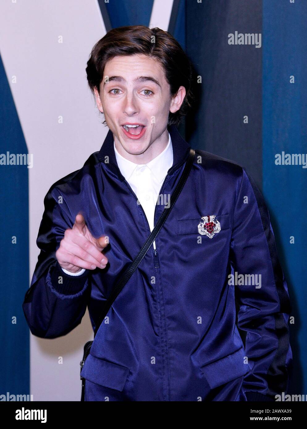 BEVERLY HILLS, CALIFORNIA - FEBRUARY 9: Timothee Chalamet attends the ...