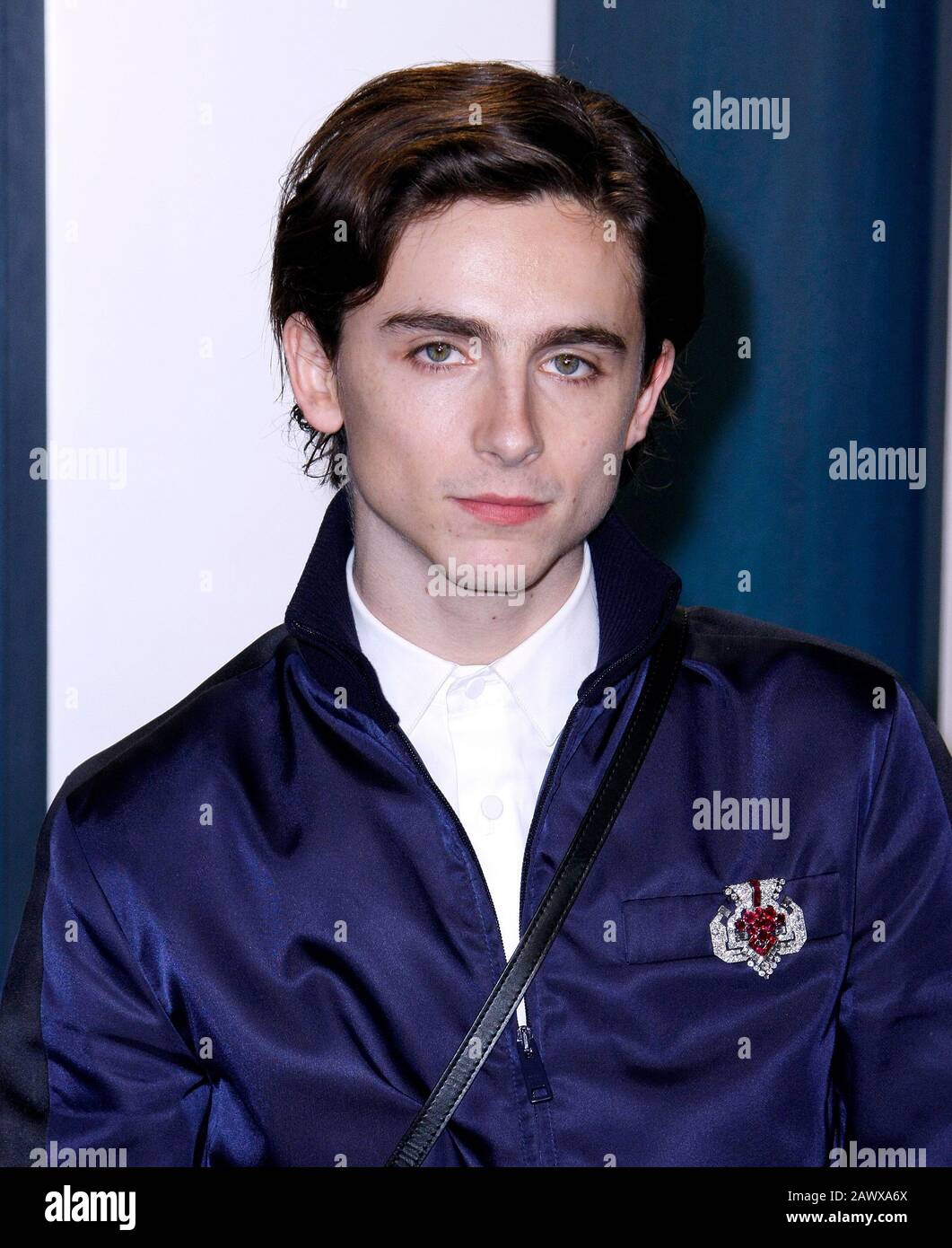 BEVERLY HILLS, CALIFORNIA - FEBRUARY 9: Timothee Chalamet attends the ...