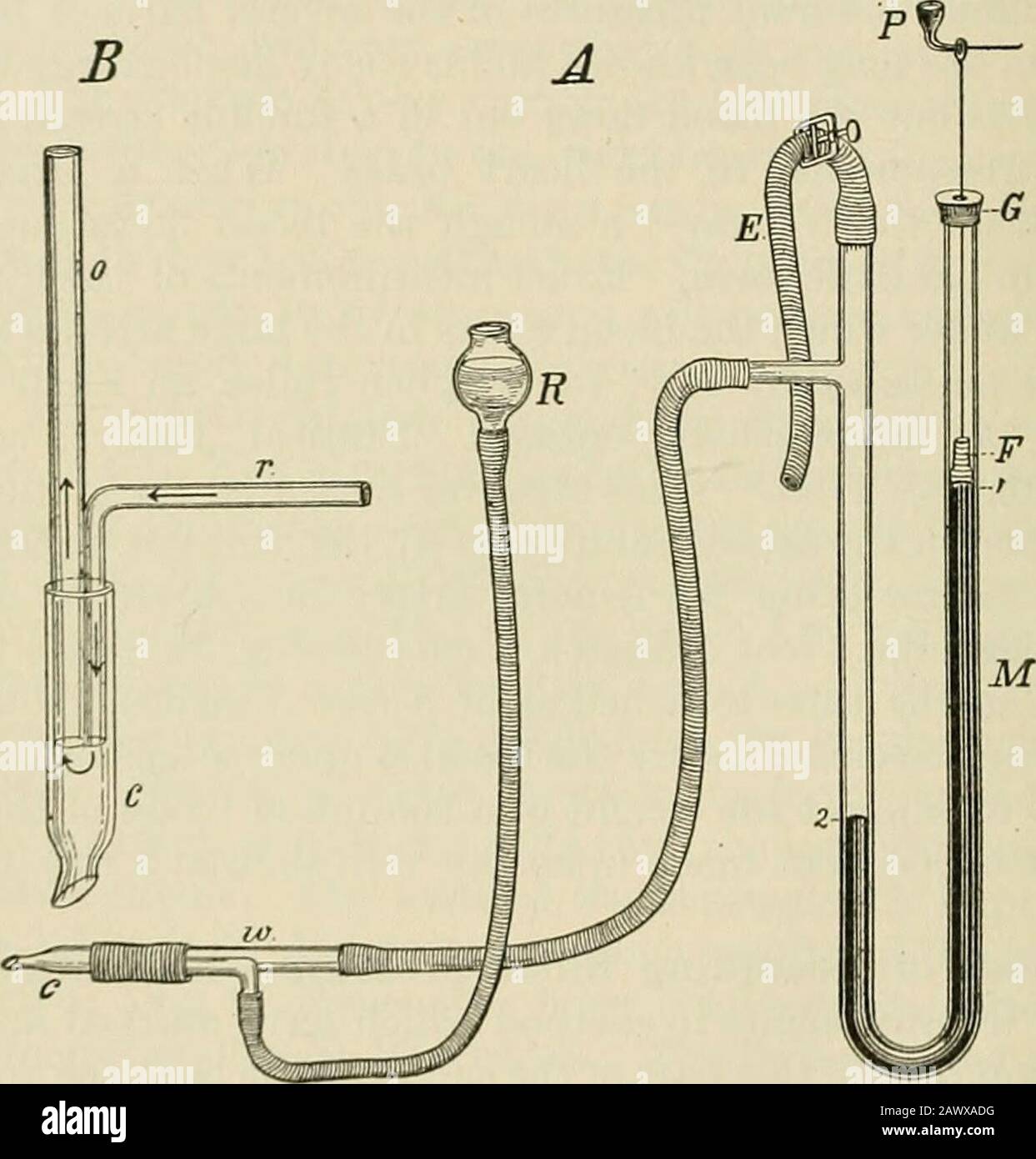 A textbook of physiology, for medical students and physicians . ^ is