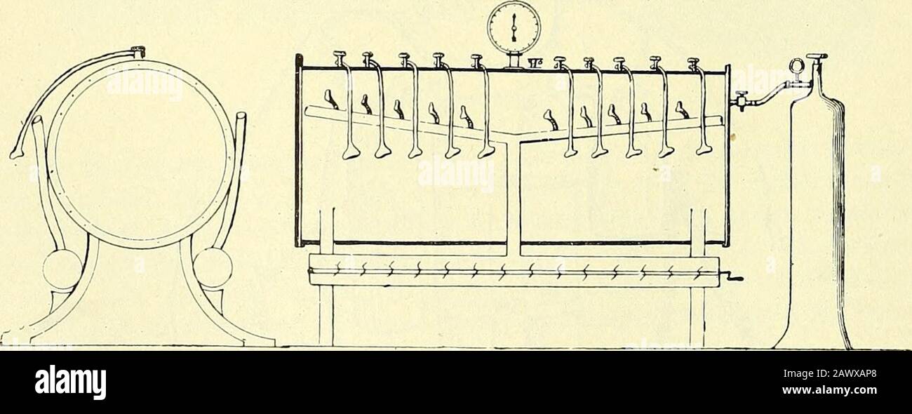 Handbuch der Sauerstofftherapie . Apparat von P1 ö t e r. Fig. 39.. Apparat von Dr. Chimani. Rohr in dieser Länge zu passieren. Der Apparat ist, soweit bekannt, über den engeren Kreisder Grube nicht hinausgekommen. Ebenfalls ist der Apparat des Schöneberger BranddirektorsFlöther wohl nur in wenigen Exemplaren angefertigt (D. R. G. M. 213069 u. 213070): derGrundfehler dieses Apparates liegt in der Disposition des Sauerstoffmagazins (6—8 Flaschen Praktische Anwendung der Sauerstofftherapie bei dem Bergbau und bei der Feuerwehr. 443 zusammengeschaltet). Jeder, der auch nur längere Zeit mit 2 Flas Stock Photo