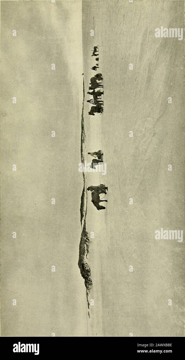 Hooper island hires stock photography and images Alamy