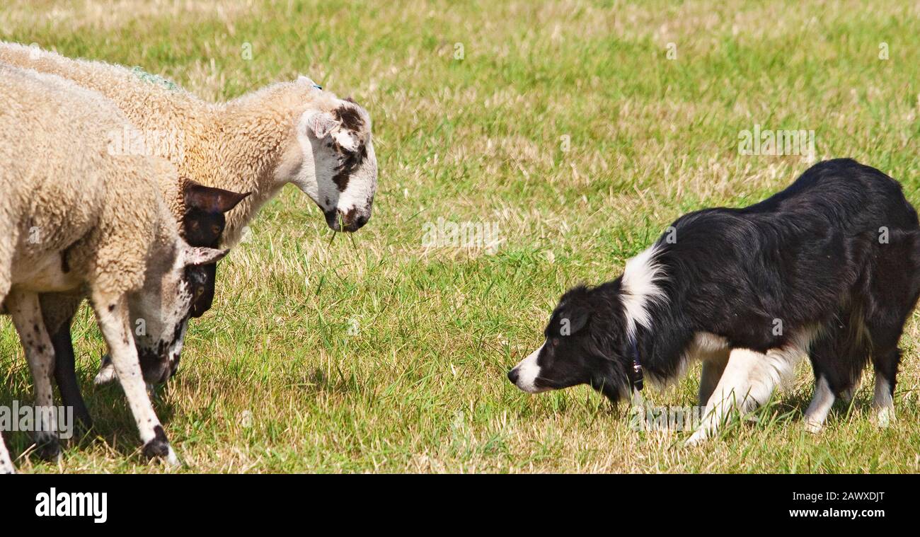 Working Border Working proximity hi-res stock photography and images - Alamy