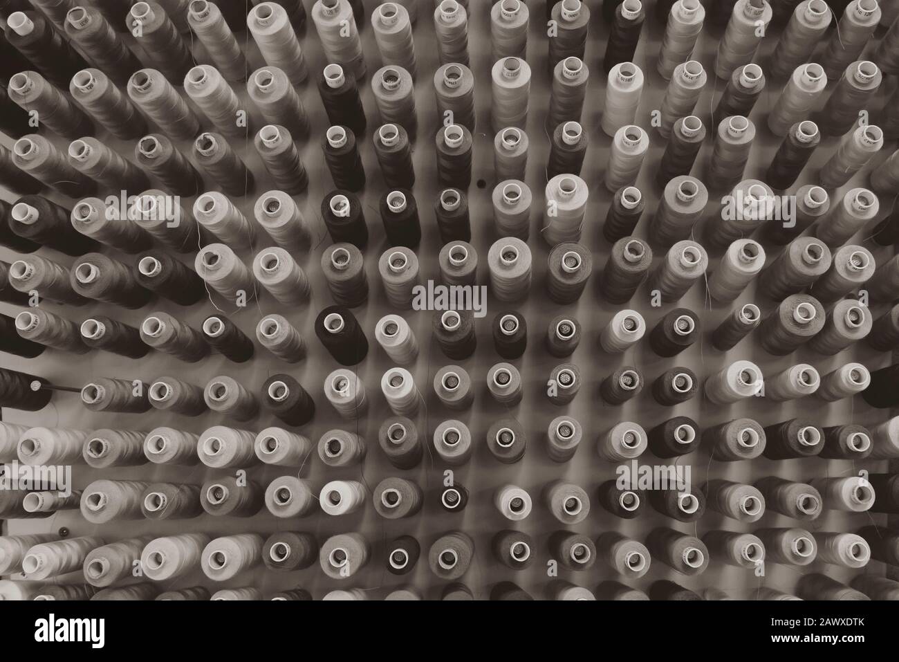A lot of sewing thread in different colors, sewing thread sorted on a wall Stock Photo