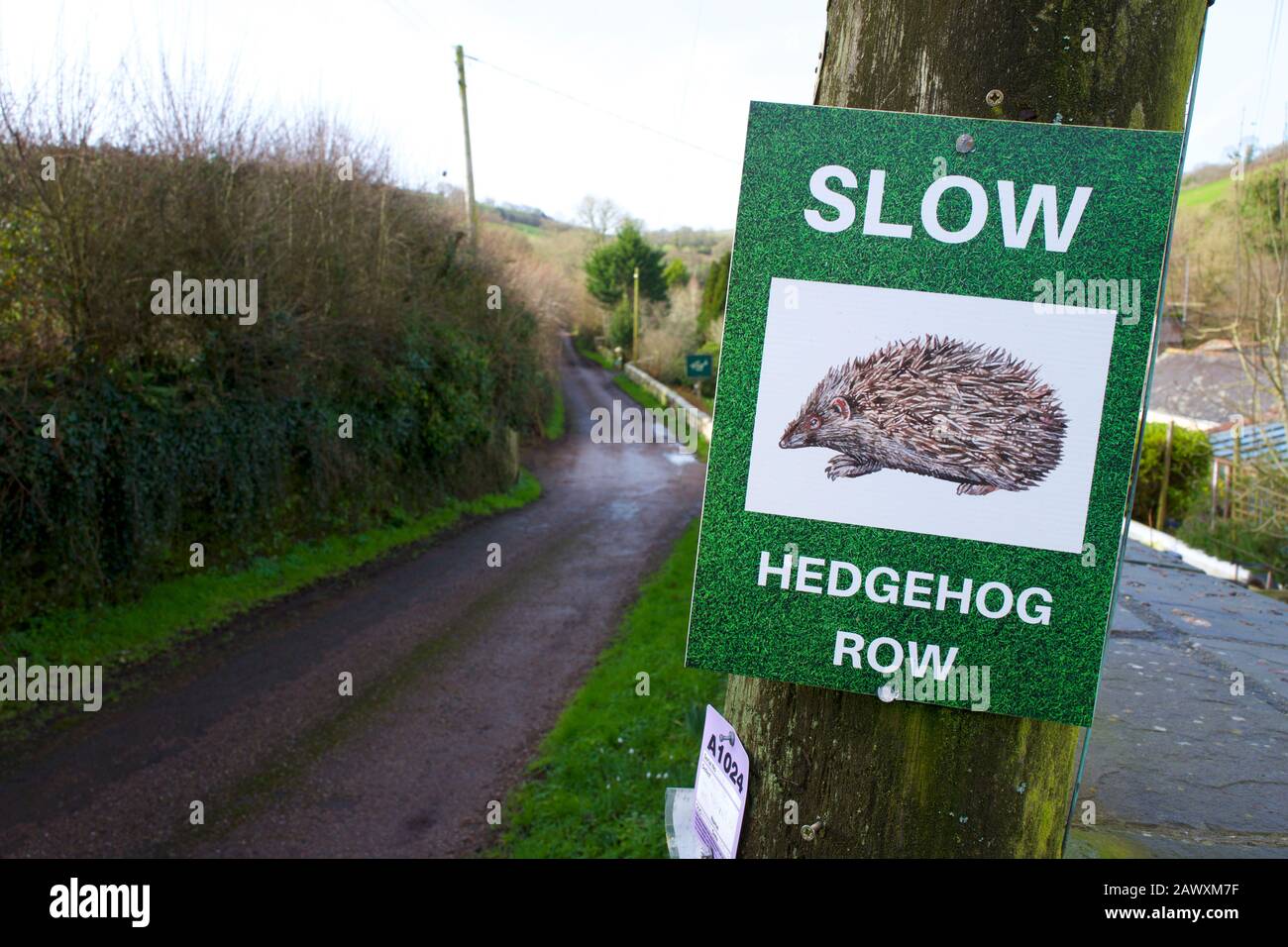 Slow hedgehogs sign hi-res stock photography and images - Alamy