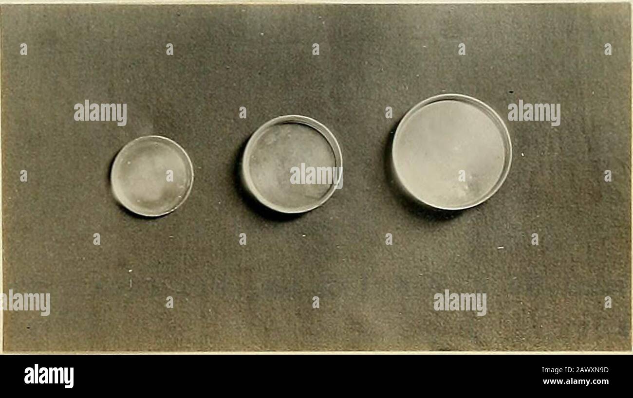 "Tin can toys and how to make them" (1916 Stock Photo Alamy