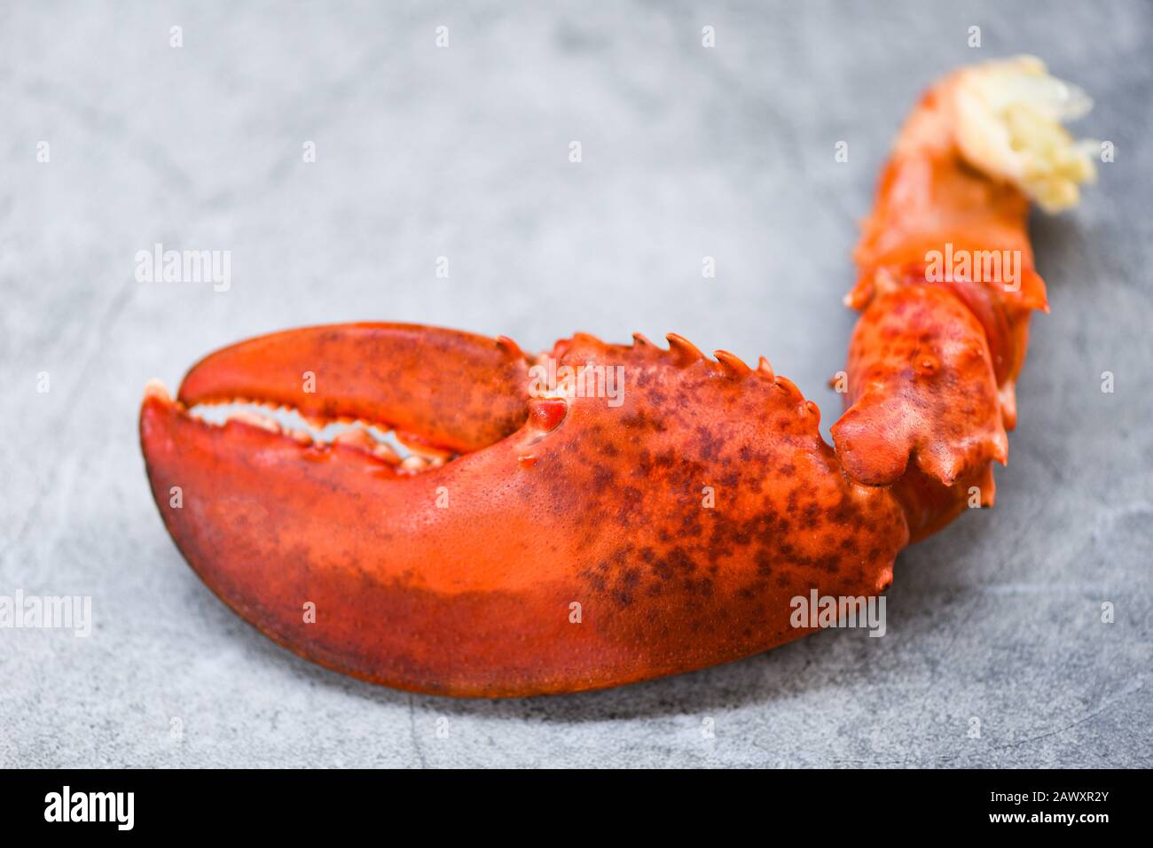 Seafood lobster food / lobster claw crab cooked Stock Photo Alamy