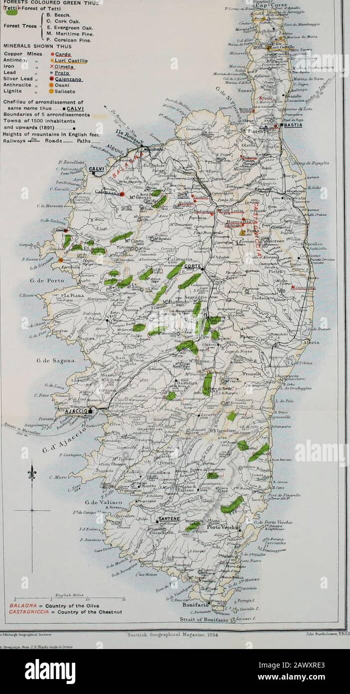 Scottish geographical magazine . Nov. 1 Dec. for 1 Year. Edinburgh, 1-81 1-01 1-55 1-36 i 1-68 2-38 2-68 2-70 2-33 2-30 2-07 1-94 24-61 London, . 1-80 1-57 1-50 1-65 2-12 1-90 2-56 2-29 2-36 2-73 2-23 1-90 24-66 Paris, 1-47 1-42 1-21 1-25 1-44 1-93 1-90 2-02 1-79 1-94 1-79 1 1-72 19-89 Nice, 3-12 2-13 2-49 2-92 1-70 1-14 1-10 0 95 3-98 3-51 4-65 1 3-47 31-16 A^jaccio, . 2-39 1-69 1-94 2-07 1-55 0-72 0-15 1-07 1-01 2-81 4-96 1 2-40 22-76 Algiers, . 3 0 2-64 3-04 1-93 0-99 0-67 0-04 0-32 1-02 2-84 3-63 1 4-38 24-50 REFERENCE NOTE. FORESTS COLOURED GREEN trettipForest of TettI f B. Beech. I C. Co Stock Photo