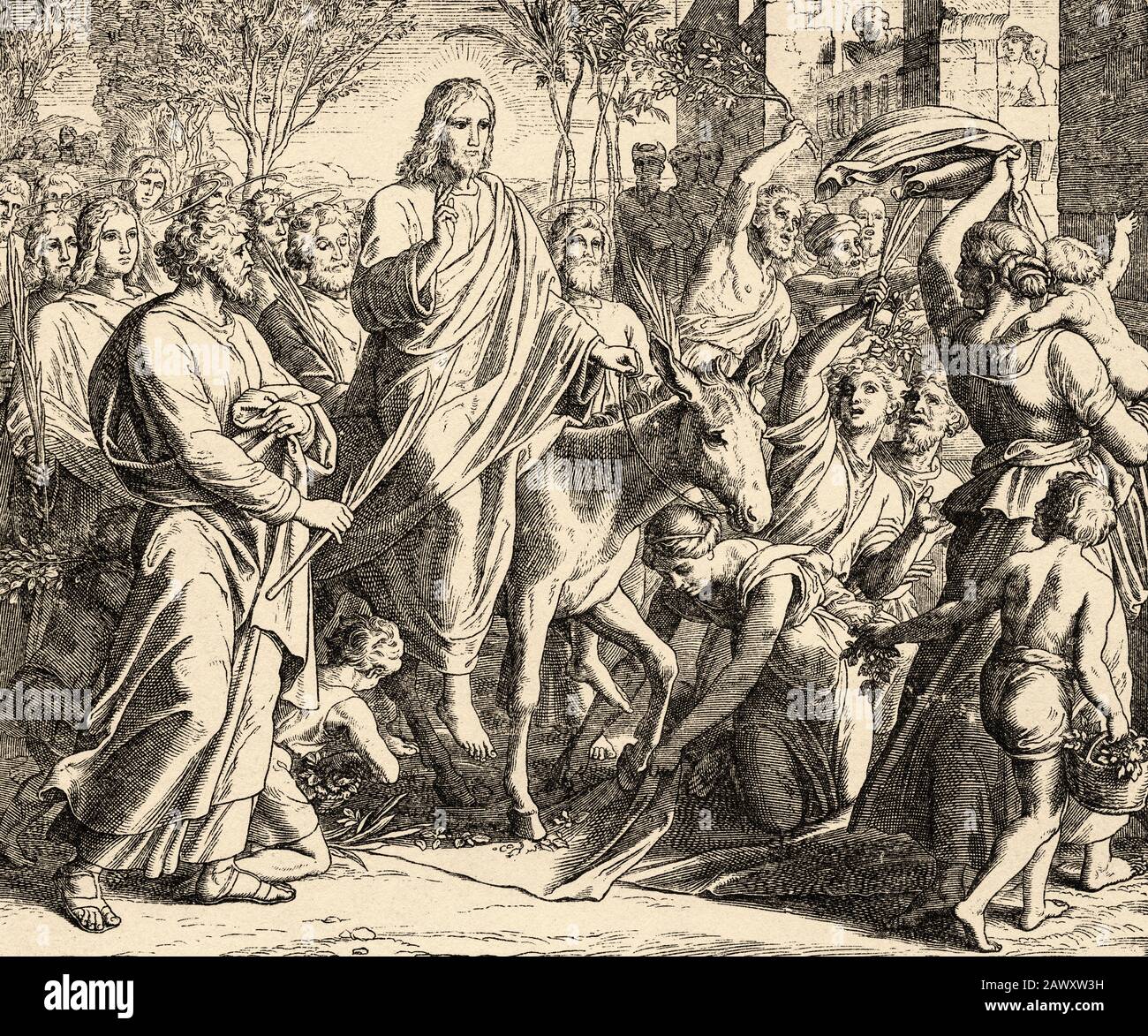 The solemn entering in Jerusalem. Our Lord Jesus enters triumphantly