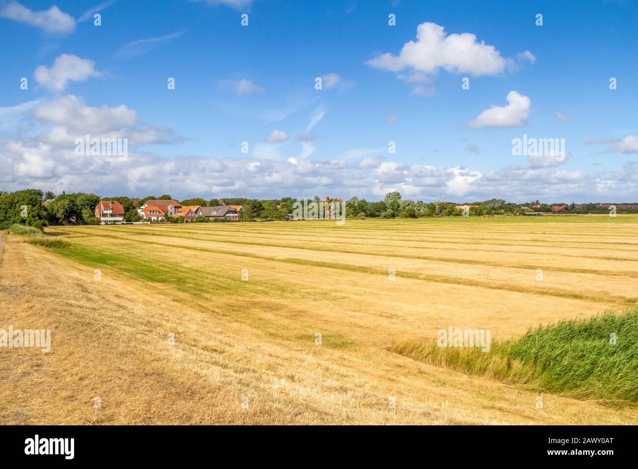 impression of Spiekeroog, one of the East Frisian Islands at the North Sea coast of Germany Stock Photo