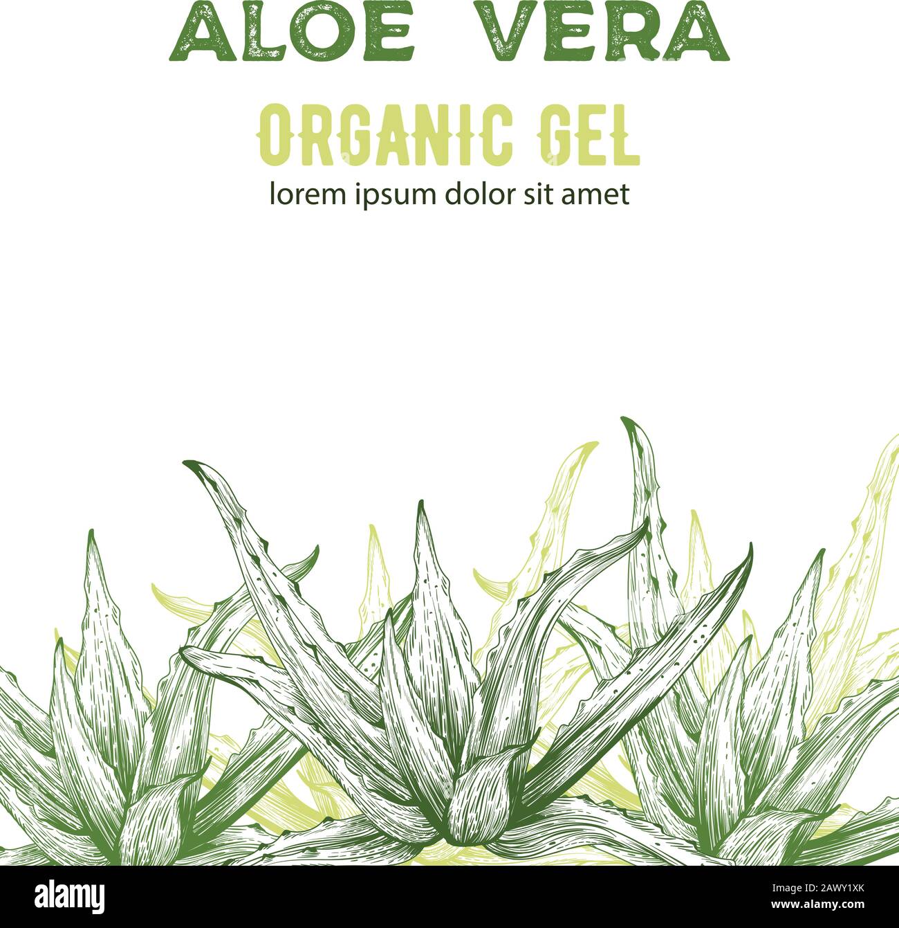 Aloe Vera organic gel with line art style drawings. Place for text. Vector  Stock Vector Image & Art - Alamy