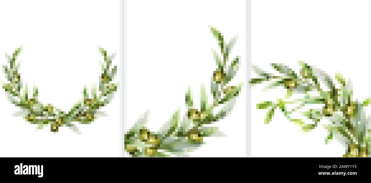 Big set of green olive wreath in random angles. Vector Stock Vector ...