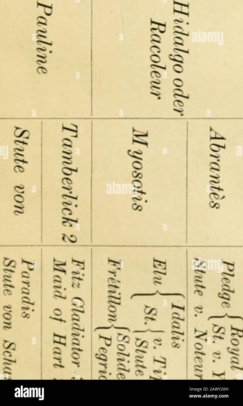 Das Anglo Normannische Pferd Mit Besonderer Berucksichtigung Seiner Verwendung In Deutschland R A Y R Stute Von