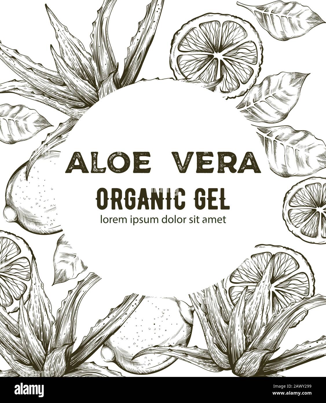 Aloe Vera organic gel with line art style drawings. Kiwi, lime slices.  Place for text. Vector Stock Vector Image & Art - Alamy
