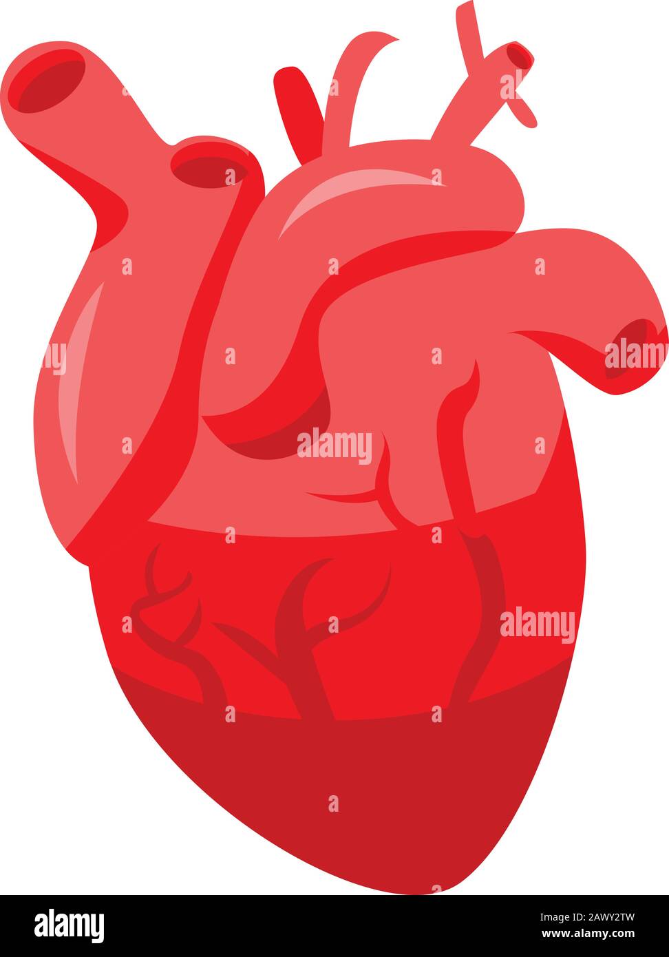 Healthy human heart icon, isometric style Stock Vector Image & Art - Alamy