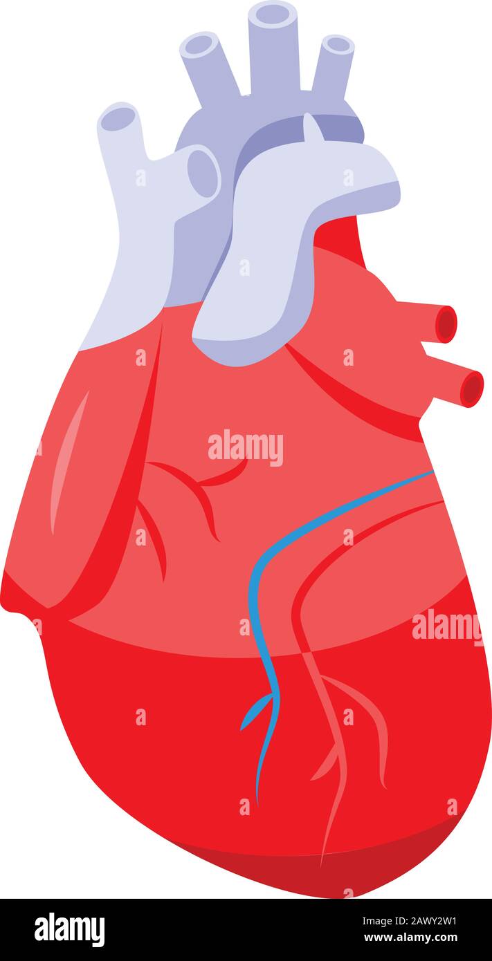 Human heart icon, isometric style Stock Vector