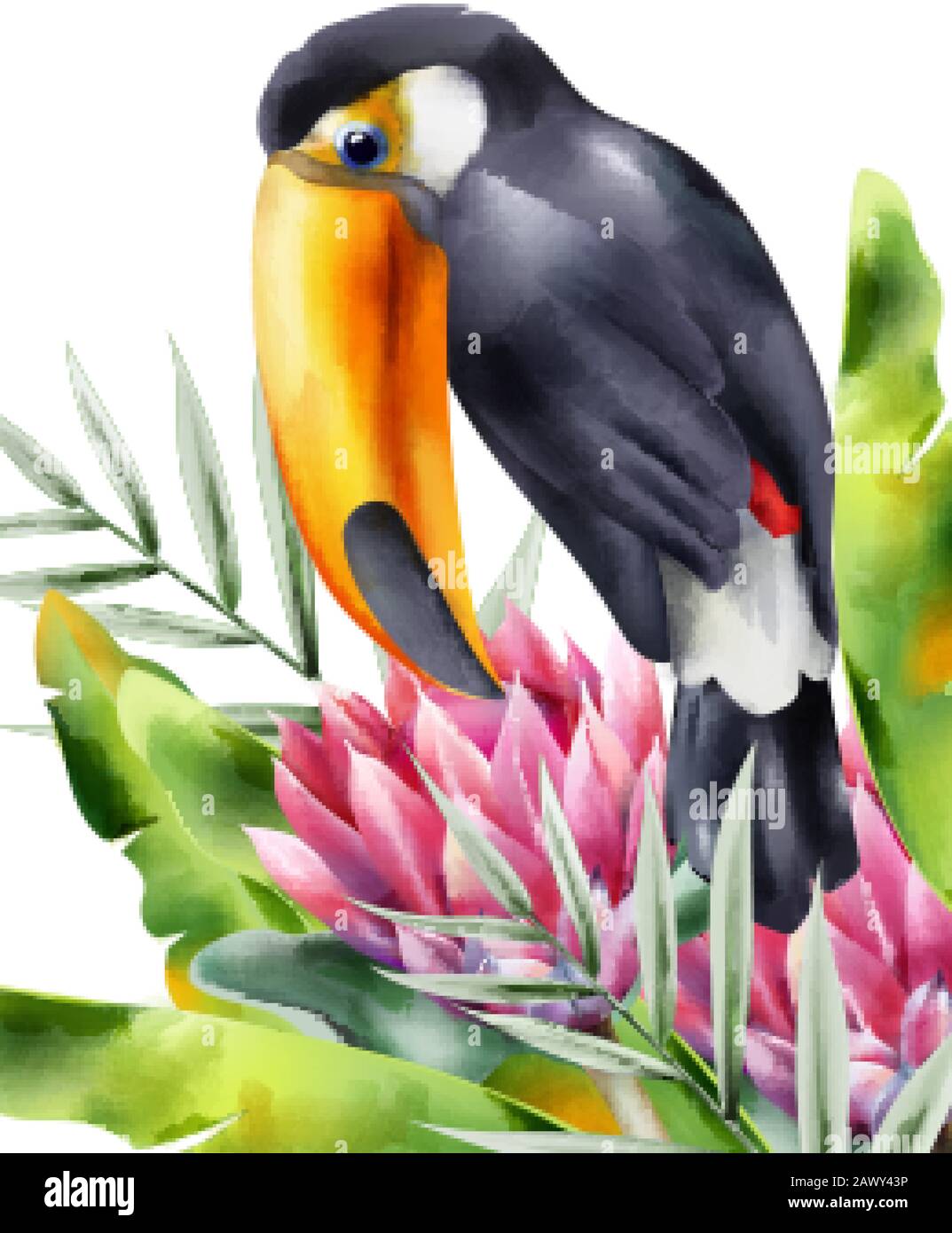 Watercolor tucano bird sitting in tropical flowers and green leaves. Vector Stock Vector